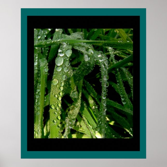 Poster Baisse de pluie sur l'impression d'herbe (Devant)