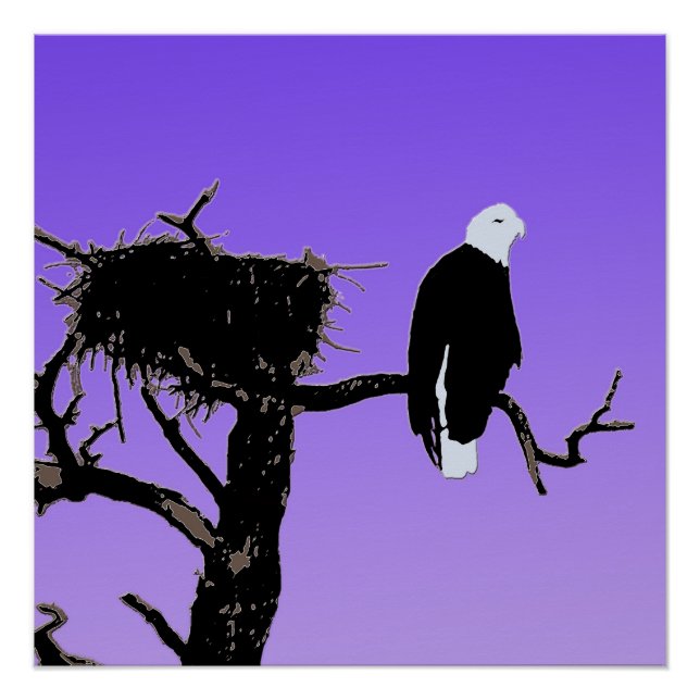 Poster Bald Eagle at Sunset - Art original de la faune (Devant)