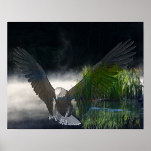 Poster Bald Eagle Cattails Mist Pond Imaginaire Art