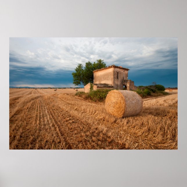 Poster Balle de foin dans un champ de Provence (Devant)