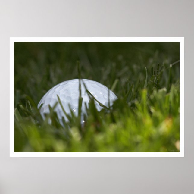 Poster balle de golf cachée (Devant)