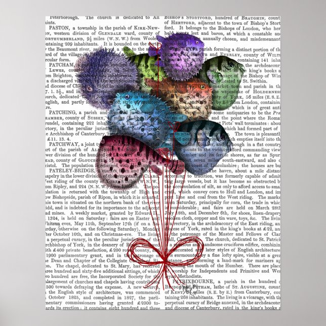 Poster Ballons à poissons (Devant)