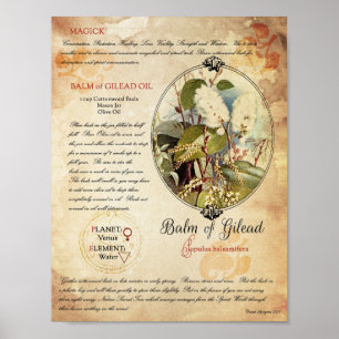 POSTER BALM DE GILEAD