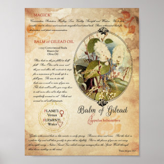 POSTER BALM DE GILEAD