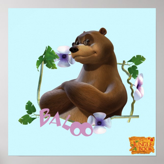 Poster Baloo 2 2 (Devant)