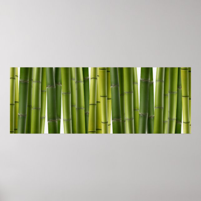 Poster Bamboo Grove (Devant)