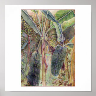 Poster Banana Trees © 2010