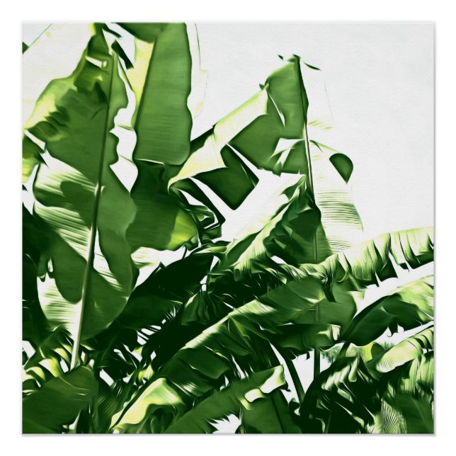Poster Banane Feuille Green Monochromatic Peinture (Devant)