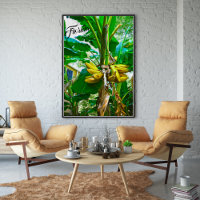 Banane tropicale Palm Tree St Augustine Floride