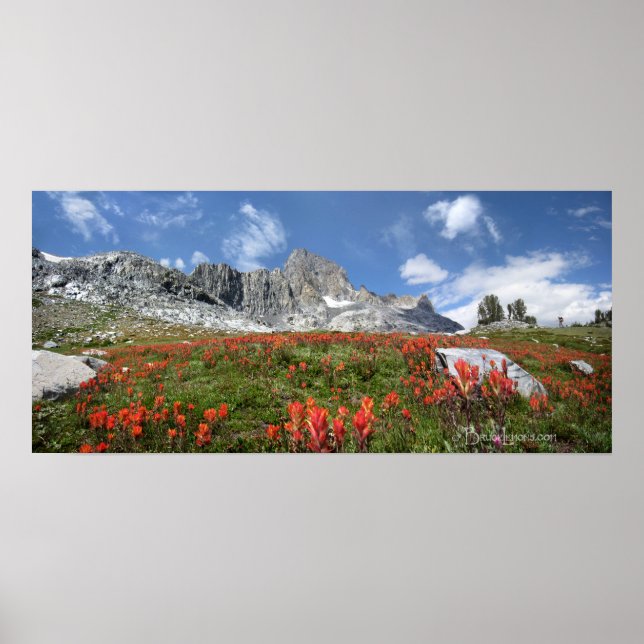 Poster Banner Peak Fleurs sauvages - Ansel Adams Wilderne (Devant)