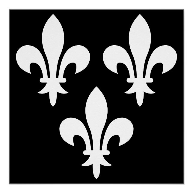 Poster Bannière médiévale de France (Devant)