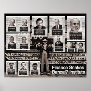 Poster Banzai7 - Les coupes financières