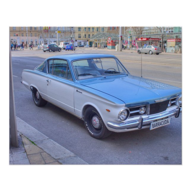 Poster Barracuda (Devant)