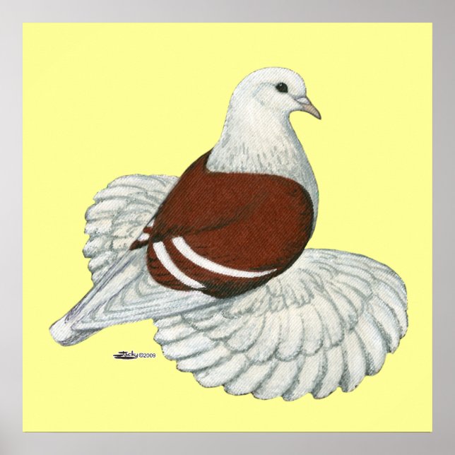 Poster Barre blanche rouge du bouclier saxon (Devant)