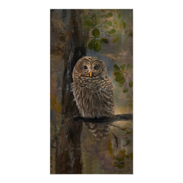 Poster Barred Owl Painting 14 x 28 (Devant)