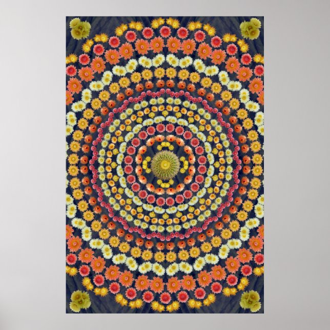 POSTER BARREL CACTUS MANDALA 3 (Devant)