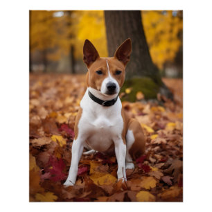 Poster Basenji en automne Feuilles automne Inspiration