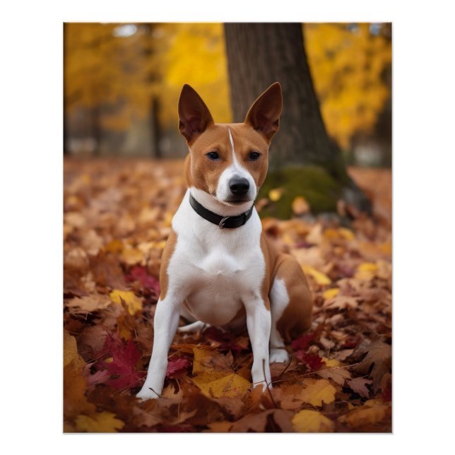 Poster Basenji en automne Feuilles automne Inspiration (Devant)