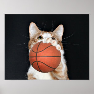 Poster Basket de chat