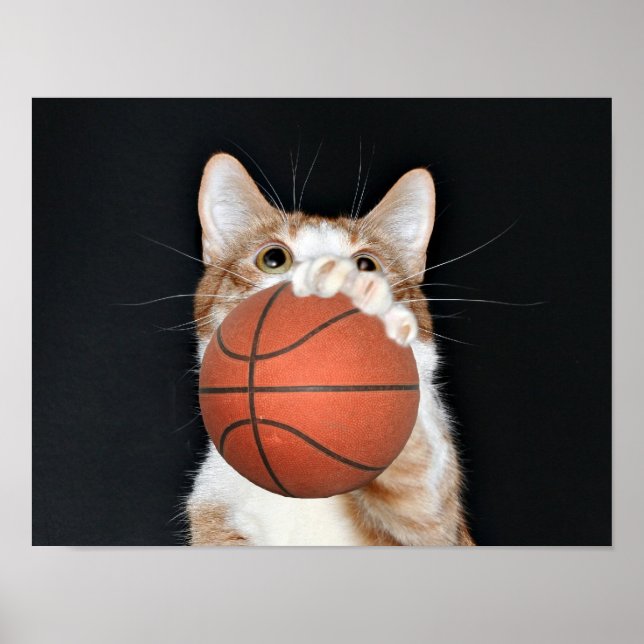Poster Basket de chat (Devant)