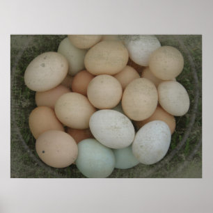 Poster Basket d'Eggs