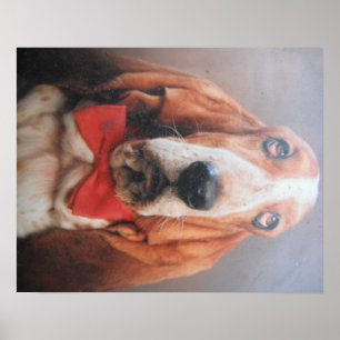 Poster Basset Hound Avec Cravate Red Bow