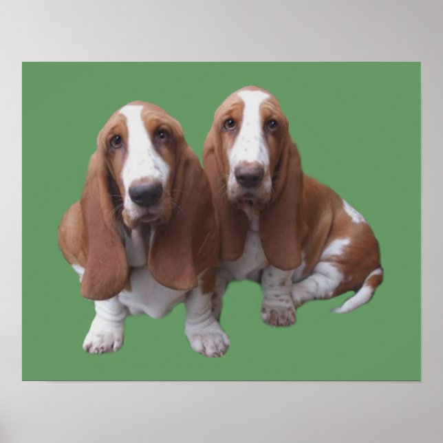 Poster Basset Hound Buddies Print (Devant)