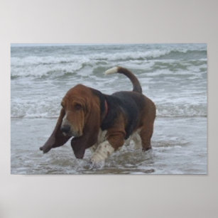 Poster Basset Hound By the Sea