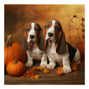 Poster Basset Hound Chiot Automne Citrouille de plaisir