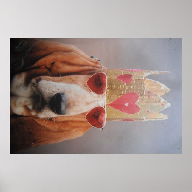 Poster Basset Hound King (Devant)