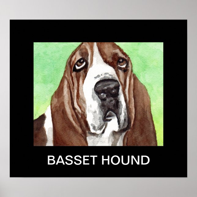 Poster Basset watercolor (Devant)
