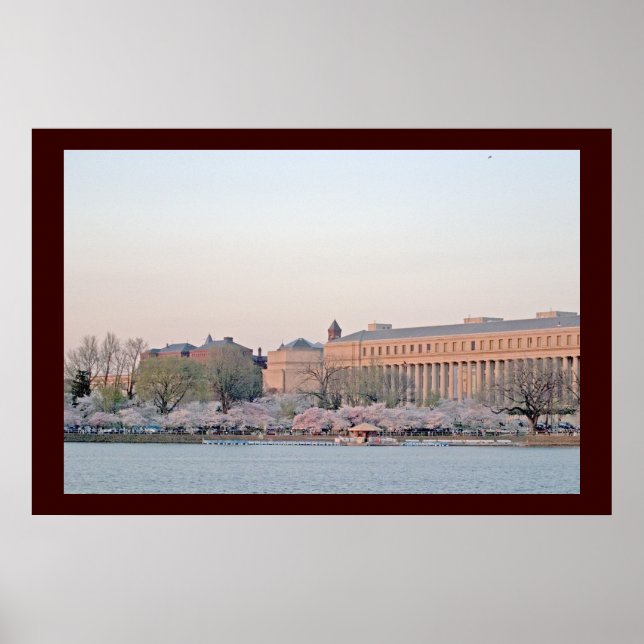 Poster Bassin de marée (Devant)