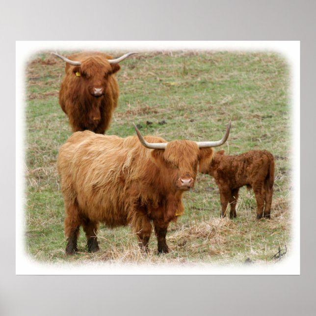 Poster Bataille de Highland 9Y316D-017 (Devant)