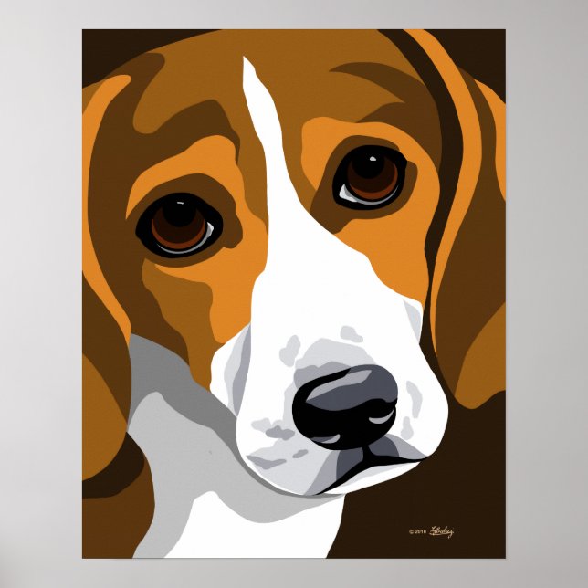 Poster beagle (Devant)