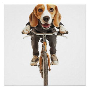 Poster Beagle Copie Copie Copie