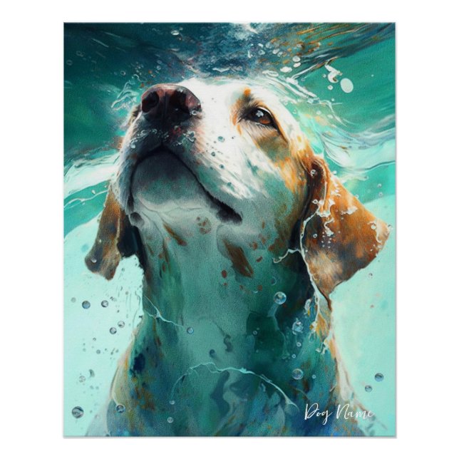 Poster Beagle dog swimming in water 002 (Devant)