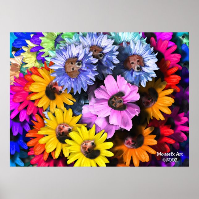 Poster Beagle en floraison (Devant)