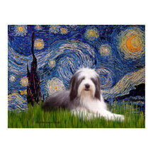 Beardie 2 - Nuit étoilée