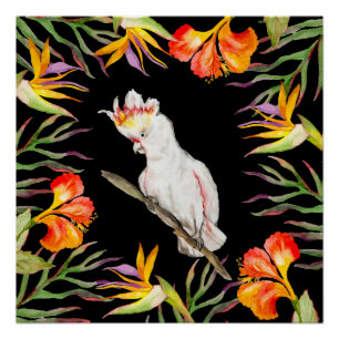 Poster Beau aquarelle cacatau perroquet dessin à la main