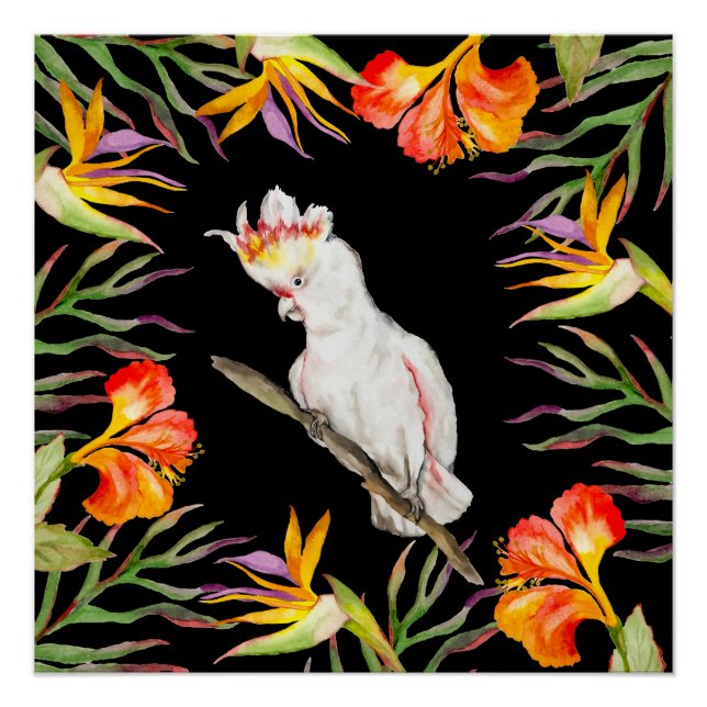 Poster Beau aquarelle cacatau perroquet dessin à la main (Devant)