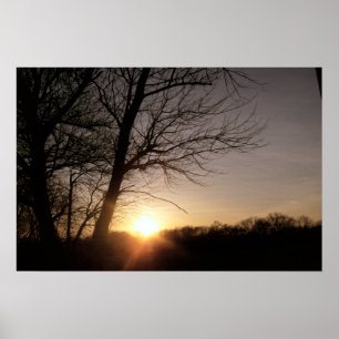 Poster Beau arbre Coucher de soleil paysage photo