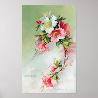 Poster Beau Art Vintage Azaleas