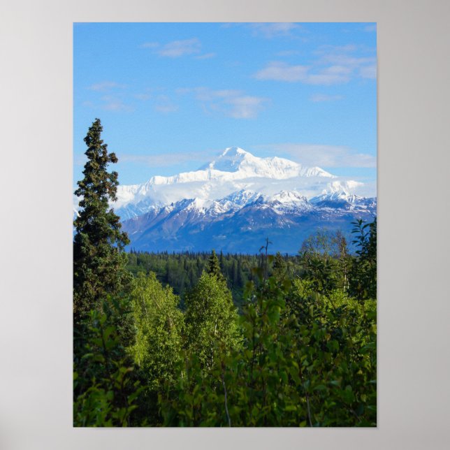 Poster Beau Denali (Devant)