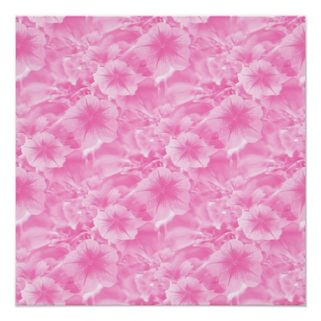 Poster Beau en rose.. (Devant)