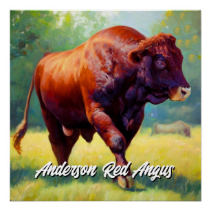 Poster Beau Red Angus Bull