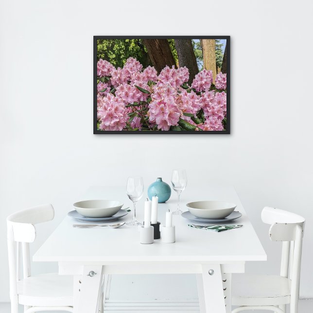 Poster Beau Rhododendron Rose fleurit Floral (In Situ)