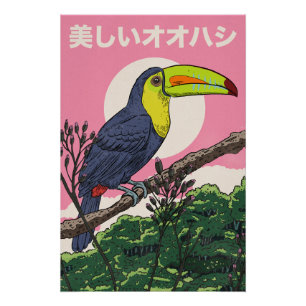Poster Beau Toucan Oiseau