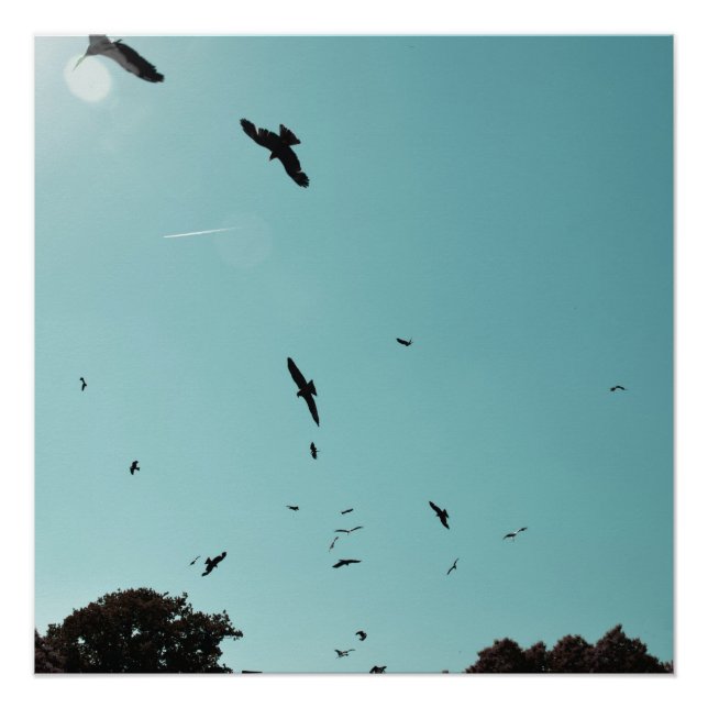 Poster Beaucoup d'oiseaux et un controle (Devant)