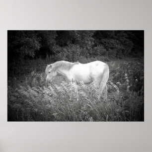 Poster Beauté dans noir et le blanc