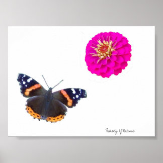 Poster Beauté De La Nature